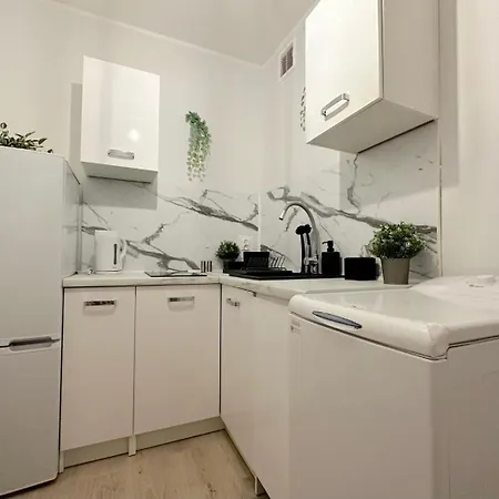 Piggy 홈스테이 *