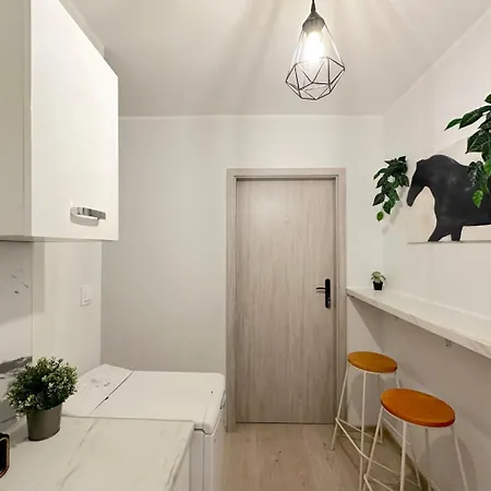 Piggy 홈스테이 *